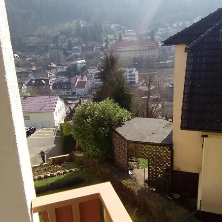 Apartment Stadtblick Bad Wildbad