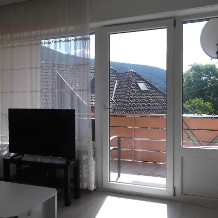 Stadtblick Bad Wildbad