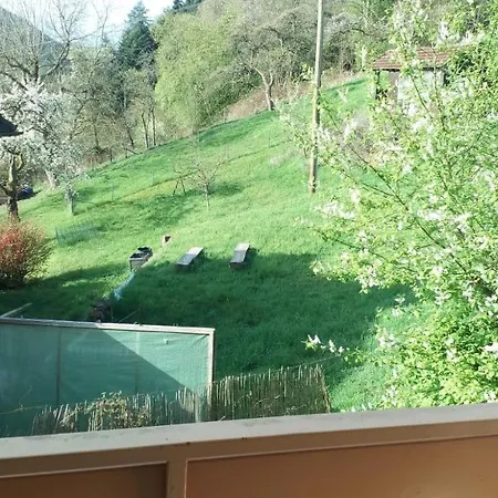 Stadtblick * Bad Wildbad