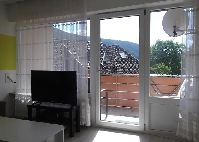 Stadtblick Bad Wildbad