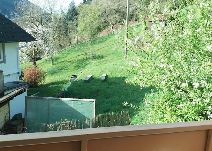 Stadtblick * Bad Wildbad